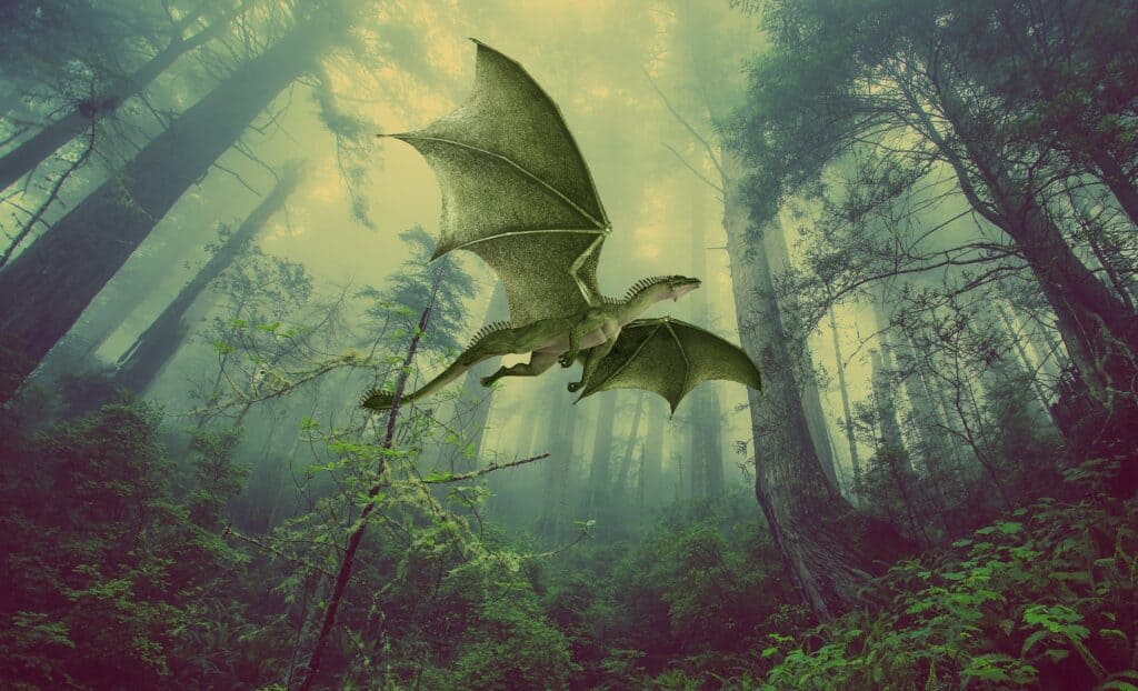Soaring Dragon Soaring Dragon