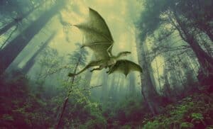Soaring Dragon Soaring Dragon