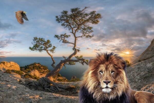 Nature Lion Landscape Fantasy Nature Lion Landscape Fantasy